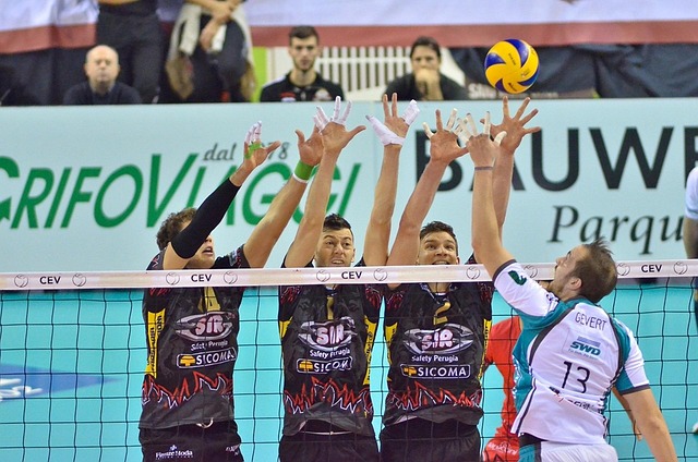 Become Pro Volleyball Player