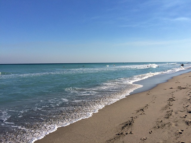Boca Raton Volleyball