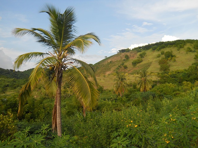 Haiti Volleyball
