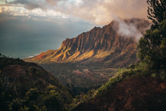 Hawaii Volleyball