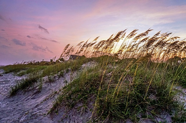 Hilton Head Volleyball