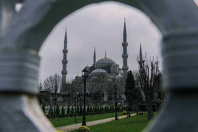 Istanbul Volleyball
