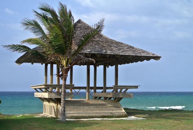 Jamaica Volleyball