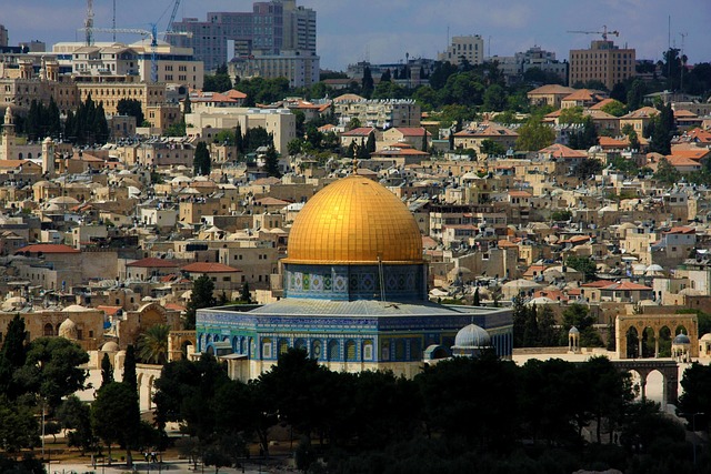 Palestine Volleyball