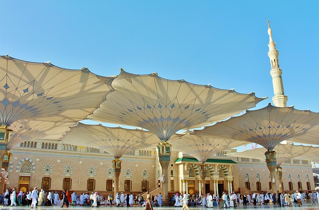 Saudi Arabia Volleyball